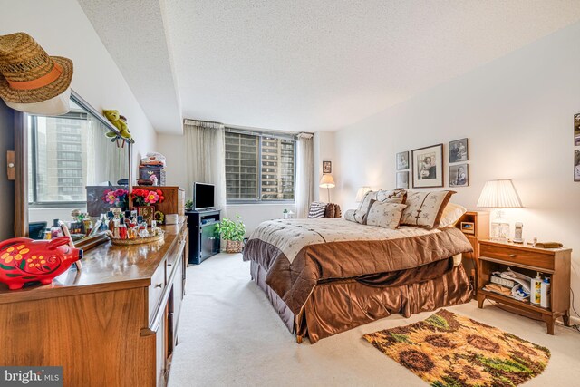 5501 Seminary Rd Unit 401S, Falls Church, VA 22041 - bedroom with light colored carpet and a textured ceiling