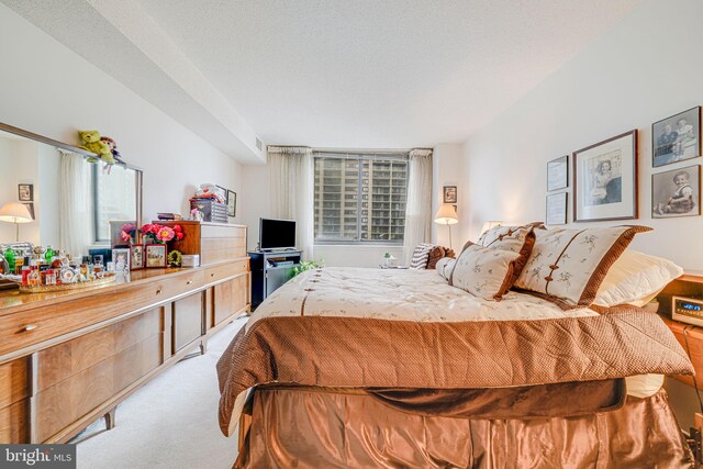 5501 Seminary Rd Unit 401S, Falls Church, VA 22041 - bedroom with light carpet