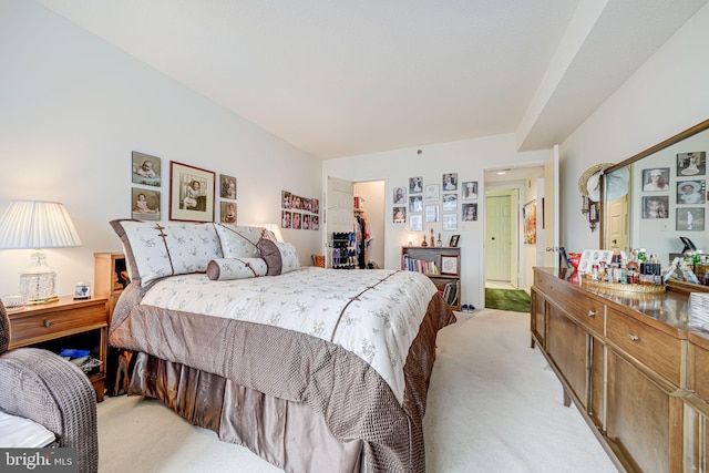 5501 Seminary Rd Unit 401S, Falls Church, VA 22041 - bedroom with light carpet, a spacious closet, and a closet