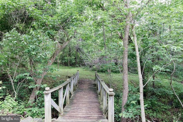 30 Gooney Falls Ln, Front Royal, VA 22630 - view of surrounding community