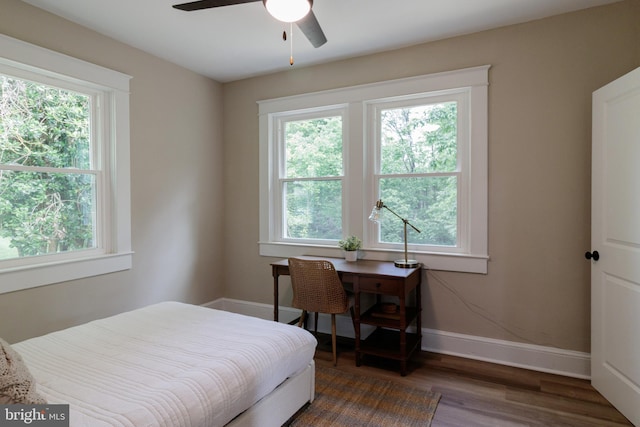 30 Gooney Falls Ln, Front Royal, VA 22630 - bedroom featuring multiple windows, wood finished floors, baseboards, and a ceiling fan