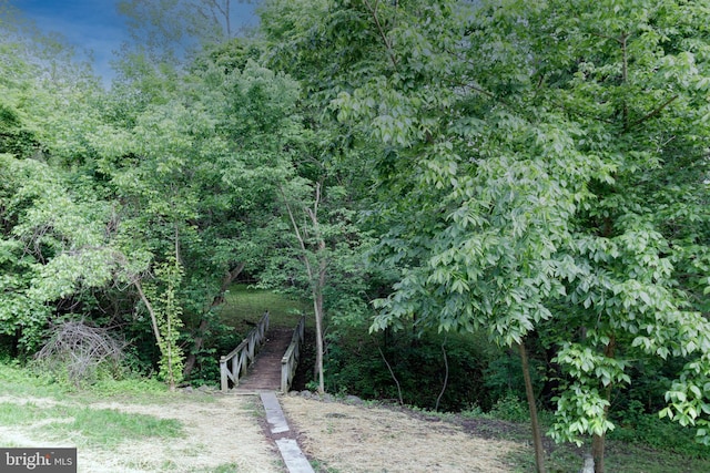 30 Gooney Falls Ln, Front Royal, VA 22630 - view of yard with a forest view