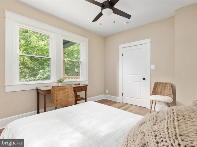 30 Gooney Falls Ln, Front Royal, VA 22630 - bedroom with light wood finished floors, baseboards, and a ceiling fan