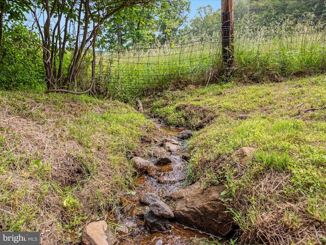 30 Gooney Falls Ln, Front Royal, VA 22630 - view of local wilderness
