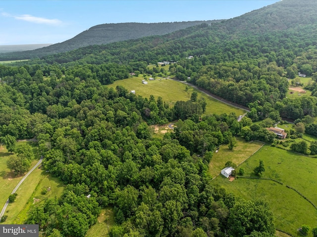 30 Gooney Falls Ln, Front Royal, VA 22630 - bird's eye view of a heavily wooded area and a mountain backdrop