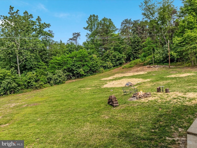 30 Gooney Falls Ln, Front Royal, VA 22630 - view of grassy yard with a fire pit