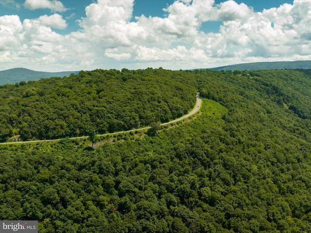 30 Gooney Falls Ln, Front Royal, VA 22630 - bird's eye view of a forest