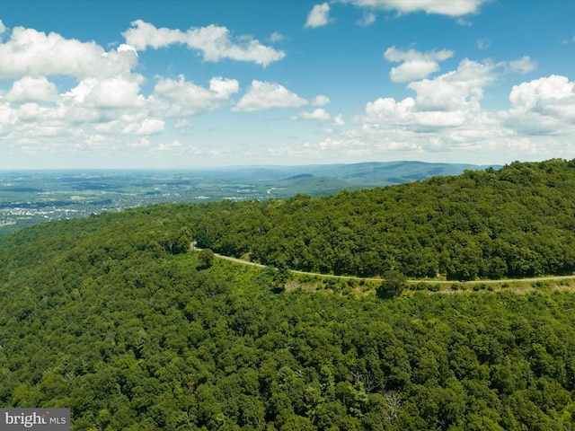 30 Gooney Falls Ln, Front Royal, VA 22630 - drone / aerial view of a heavily wooded area