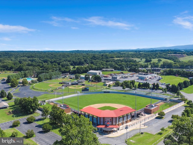 30 Gooney Falls Ln, Front Royal, VA 22630 - bird's eye view of a forest