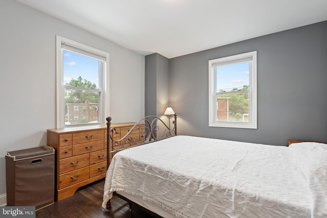 5054 8th St NE, Washington, DC 20017 - bedroom featuring dark wood-style flooring, multiple windows, and baseboards