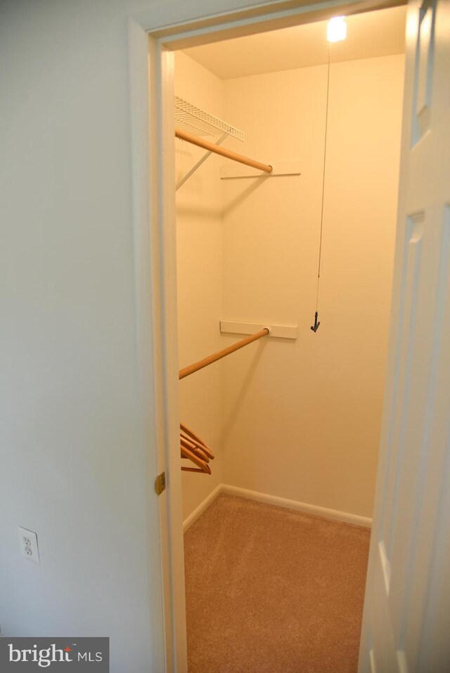 4360 Ivymount Ct Unit 32, Annandale, VA 22003 - walk in closet with carpet