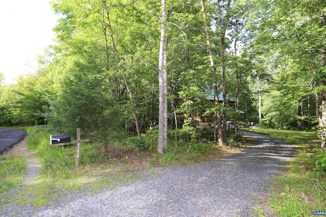 5254 Havenwood Ln, Schuyler, VA 22969 - view of dirt / gravel road
