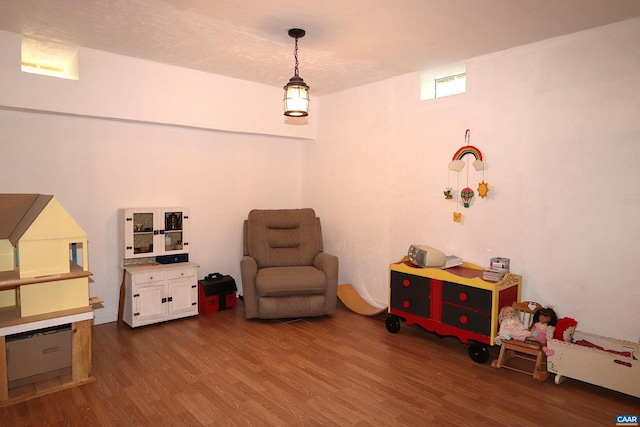 5254 Havenwood Ln, Schuyler, VA 22969 - living area featuring wood finished floors