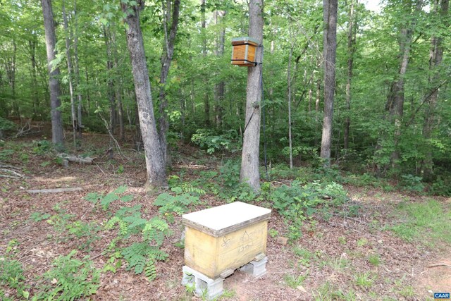 5254 Havenwood Ln, Schuyler, VA 22969 - exterior view of a forest