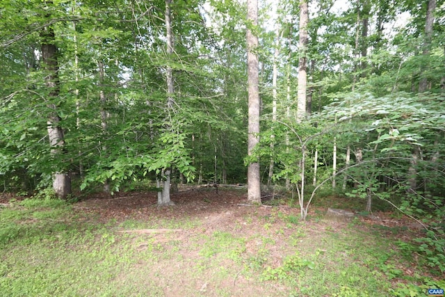 5254 Havenwood Ln, Schuyler, VA 22969 - view of undeveloped land