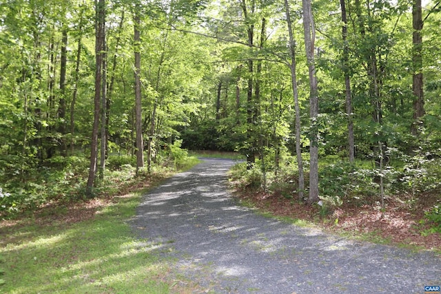 5254 Havenwood Ln, Schuyler, VA 22969 - view of street featuring a forest view