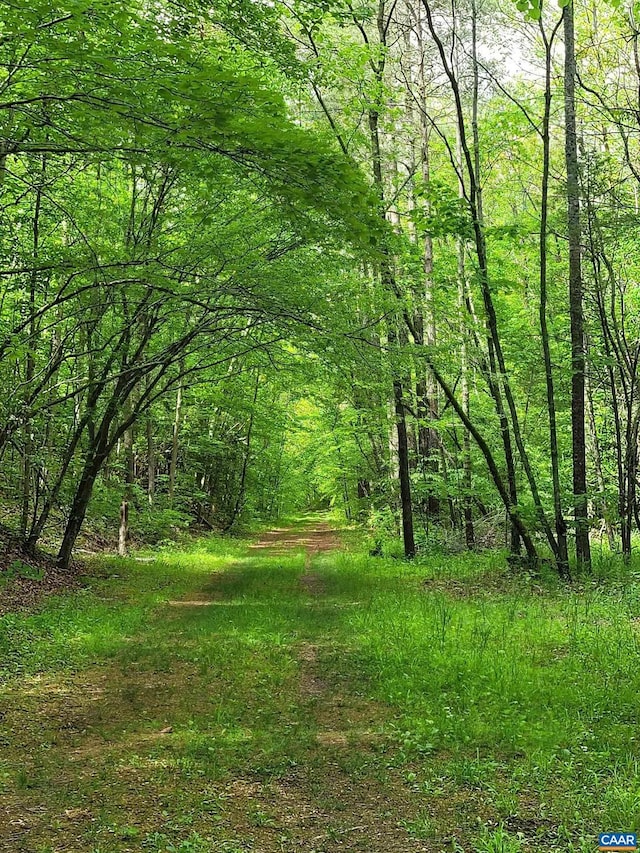 5254 Havenwood Ln, Schuyler, VA 22969 - view of tree filled area