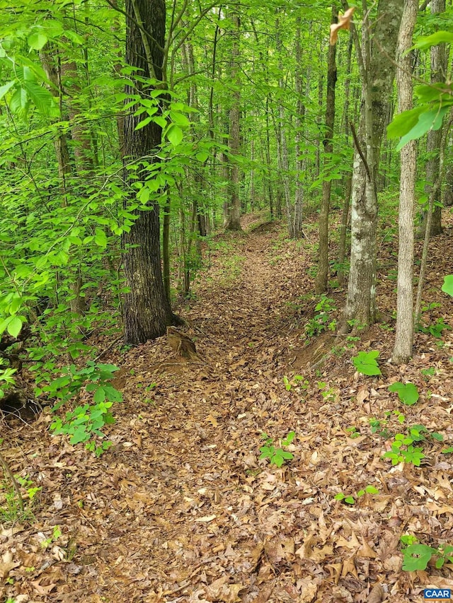 5254 Havenwood Ln, Schuyler, VA 22969 - view of nature
