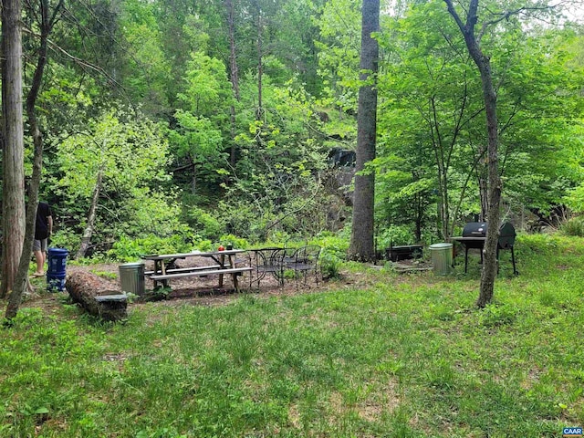 5254 Havenwood Ln, Schuyler, VA 22969 - view of yard featuring a view of trees