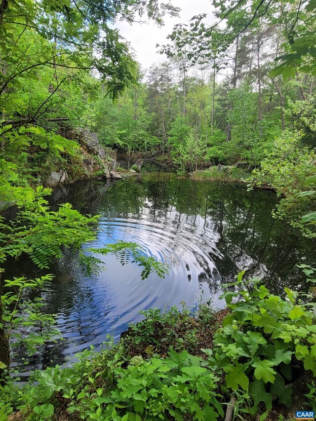 5254 Havenwood Ln, Schuyler, VA 22969 - water view