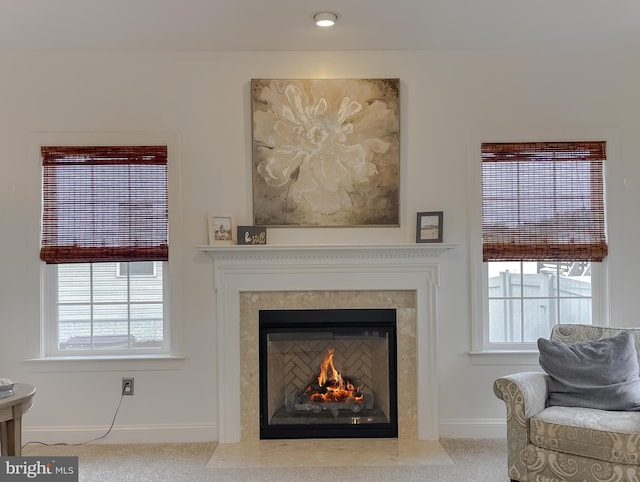24655 Broad Creek Dr, Hollywood, MD 20636 - detailed view of baseboards, carpet, and a fireplace with flush hearth