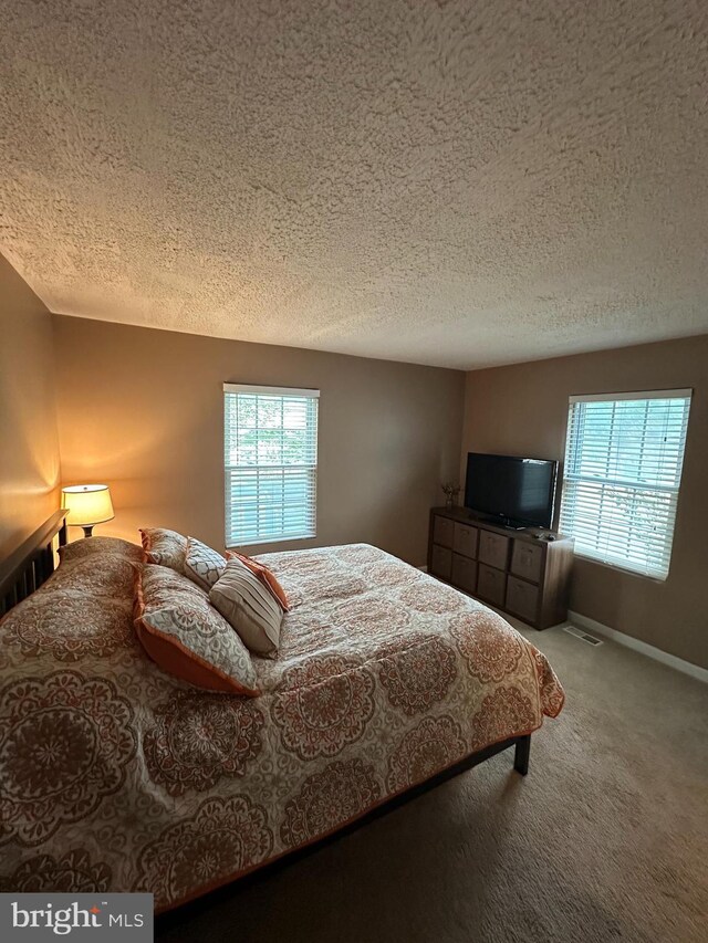 1088 Locust Dr, Pasadena, MD 21122 - bedroom featuring a textured ceiling, multiple windows, and carpet floors