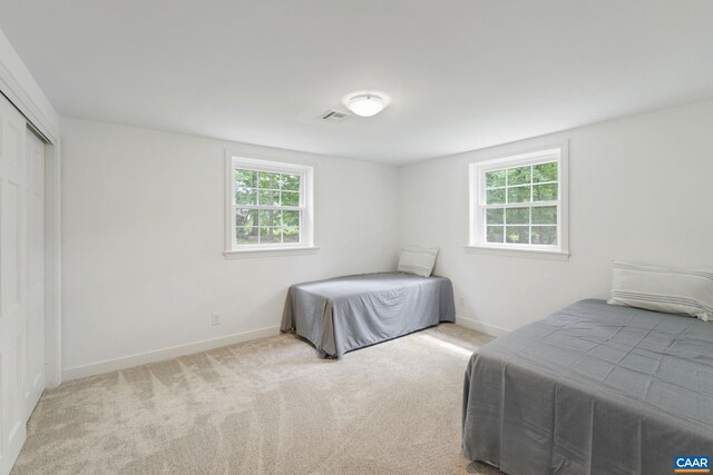 3500 Monacan Dr W, Charlottesville, VA 22901 - bedroom with multiple windows, baseboards, carpet flooring, and a closet