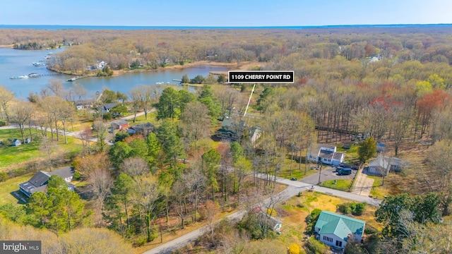 1109 Cherry Point Rd, West River, MD 20778 - view of property location featuring a heavily wooded area and a large body of water