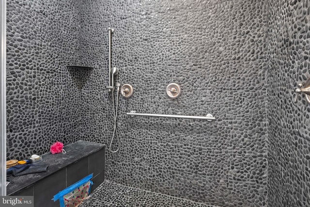 1109 Cherry Point Rd, West River, MD 20778 - bathroom view of tiled shower