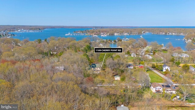 1109 Cherry Point Rd, West River, MD 20778 - aerial view of property and surrounding area with a large body of water