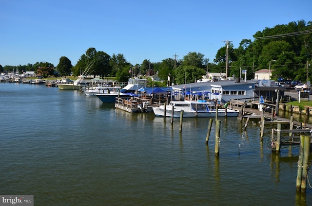1109 Cherry Point Rd, West River, MD 20778 - dock with a water view and view of wooded area