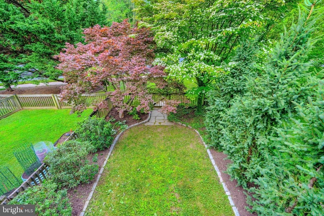 23 Faraday Dr, Lutherville Timonium, MD 21093 - view of yard