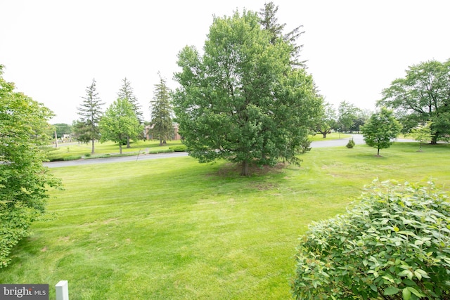 604 Remington Ct, Chalfont, PA 18914 - view of grassy yard