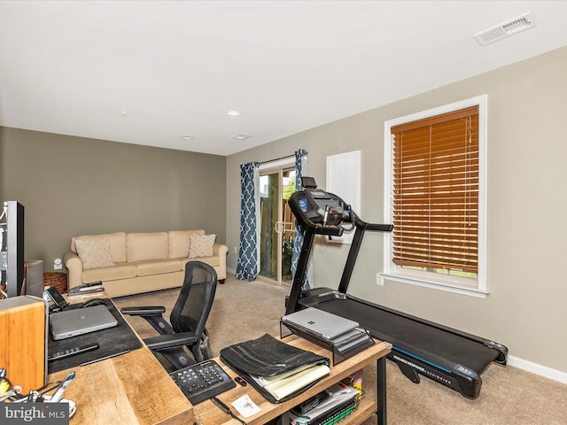6540 Newton Dr, Frederick, MD 21703 - exercise area featuring carpet and baseboards