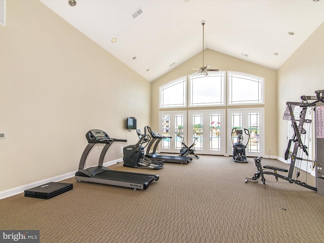 6540 Newton Dr, Frederick, MD 21703 - exercise room with carpet, a ceiling fan, high vaulted ceiling, and baseboards