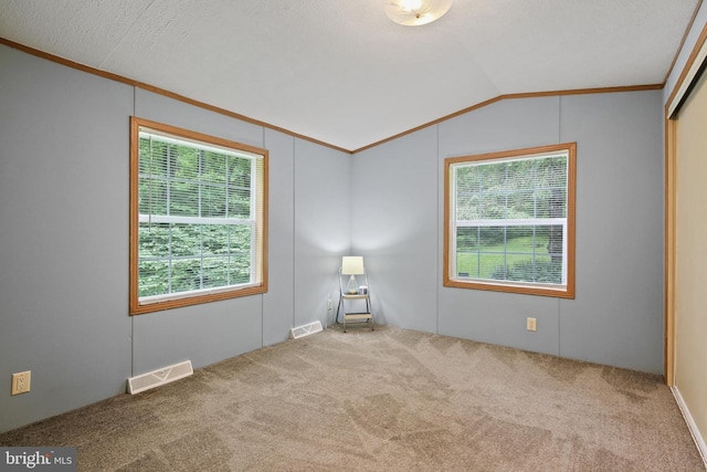 2519 Shureslanding Rd, Darlington, MD 21034 - carpeted empty room featuring ornamental molding, plenty of natural light, and vaulted ceiling
