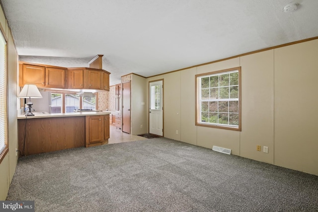 2519 Shureslanding Rd, Darlington, MD 21034 - kitchen featuring brown cabinetry, light colored carpet, a peninsula, crown molding, and light countertops