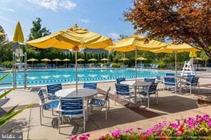 42038 Angel Arch Ter, Aldie, VA 20105 - community pool with a patio