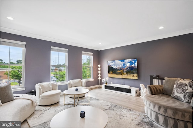 141 Center St S Unit 6, Vienna, VA 22180 - living room featuring wood finished floors, crown molding, recessed lighting, and baseboards