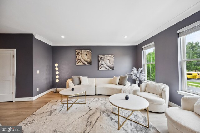 141 Center St S Unit 6, Vienna, VA 22180 - living room with wood finished floors, baseboards, recessed lighting, and crown molding