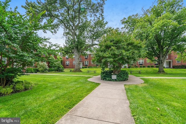715 S Washington St Unit A-13, Alexandria, VA 22314 - view of community with a lawn