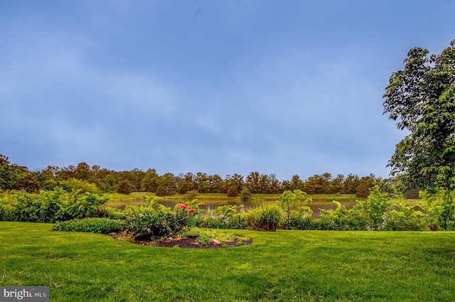 8060 Stonewall Brigade Ct Unit 101, Manassas, VA 20109 - view of grassy yard with a water view