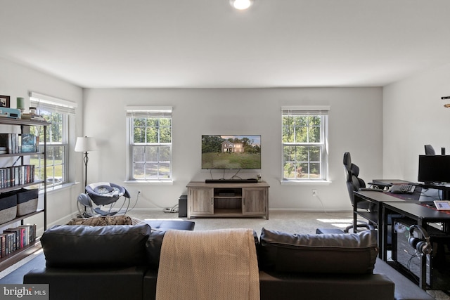 251 Rock Raymond Dr, Stafford, VA 22554 - living area with plenty of natural light, baseboards, and carpet floors