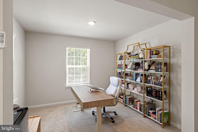 251 Rock Raymond Dr, Stafford, VA 22554 - carpeted office space with baseboards