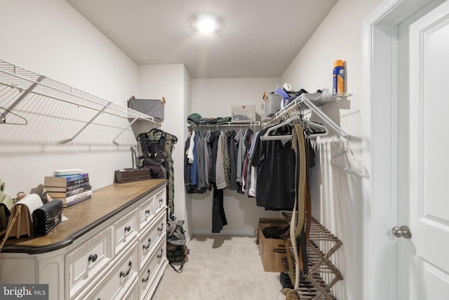 251 Rock Raymond Dr, Stafford, VA 22554 - spacious closet featuring light colored carpet