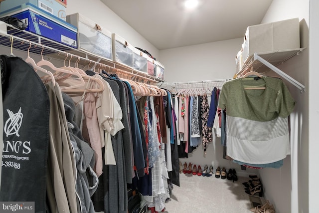251 Rock Raymond Dr, Stafford, VA 22554 - spacious closet with carpet