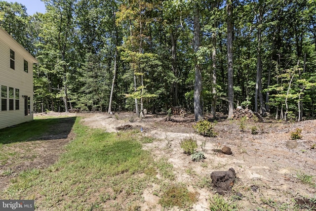 251 Rock Raymond Dr, Stafford, VA 22554 - view of yard