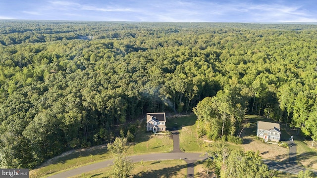 251 Rock Raymond Dr, Stafford, VA 22554 - view of property location with a heavily wooded area