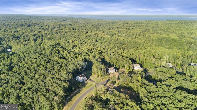251 Rock Raymond Dr, Stafford, VA 22554 - aerial view of property and surrounding area with a forest