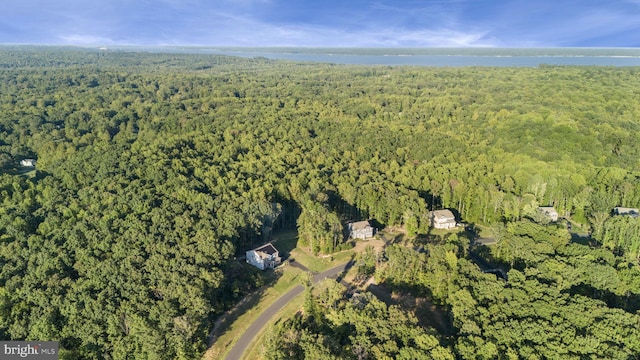 251 Rock Raymond Dr, Stafford, VA 22554 - aerial view of property and surrounding area with a heavily wooded area and a nearby body of water